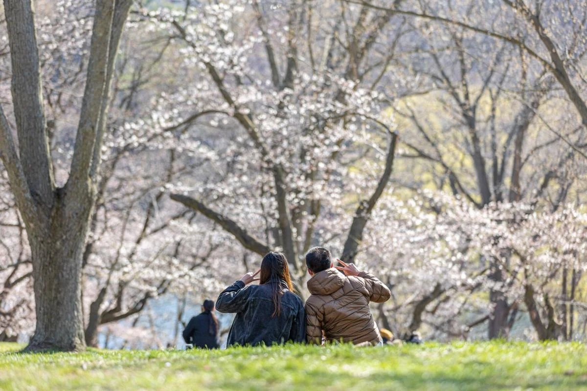 🏞️ 야바세 귀범도 공원(야바세키한토 코엔) 이미지 8